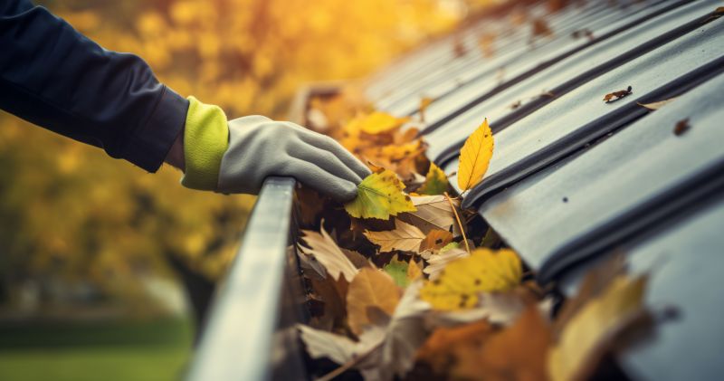 Fall Gutter Cover Service