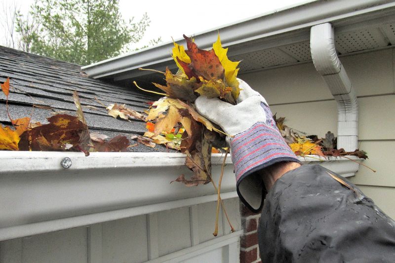 Seasonal Gutter Service